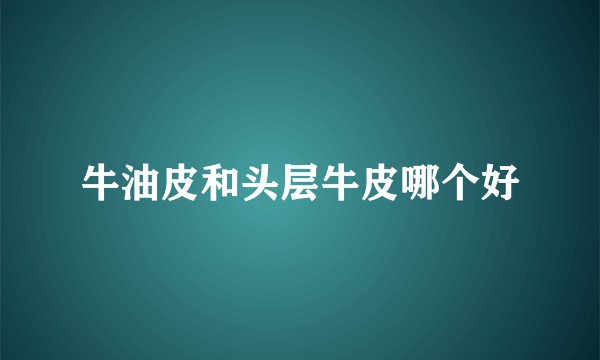 牛油皮和头层牛皮哪个好
