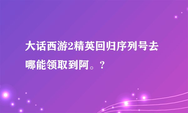 大话西游2精英回归序列号去哪能领取到阿。?