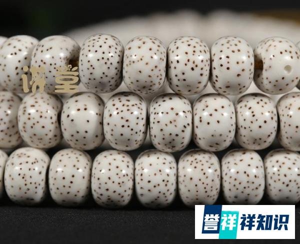 元宝籽星月菩提和金蝉子星月菩提有什么区别？