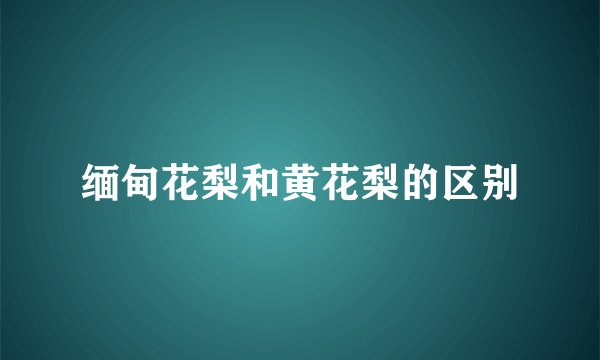 缅甸花梨和黄花梨的区别