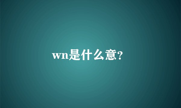 wn是什么意？