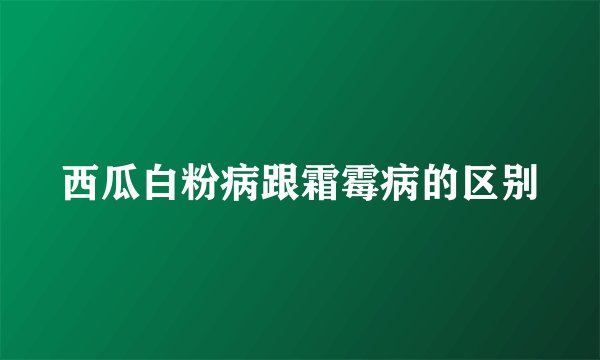 西瓜白粉病跟霜霉病的区别