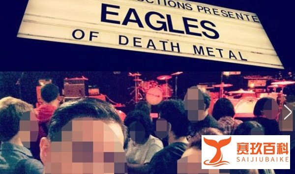 巴黎血案的真凶：竟是一只鹰