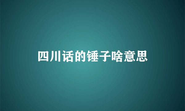 四川话的锤子啥意思