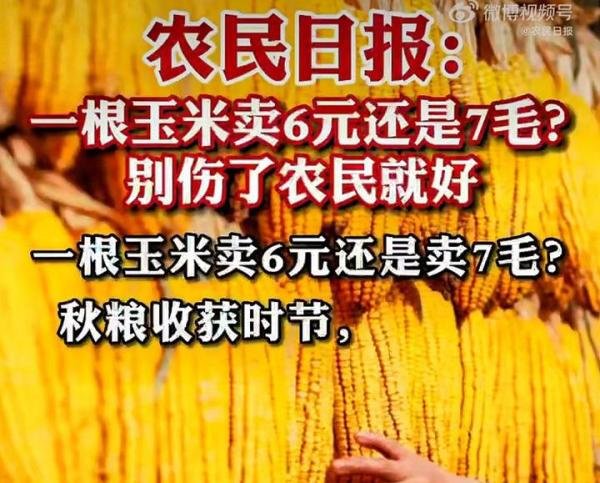 农民日报评一根玉米卖6元,一句“助农”,要看重农民收益直击要害