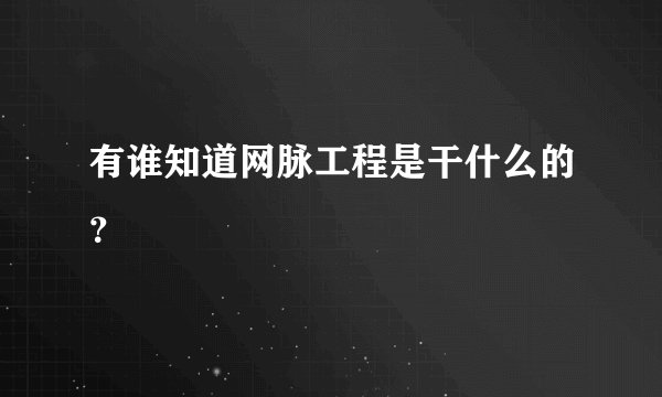 有谁知道网脉工程是干什么的？