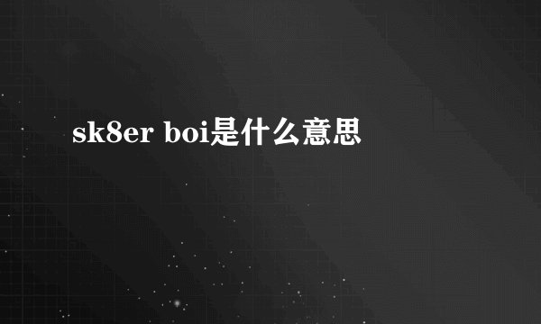 sk8er boi是什么意思