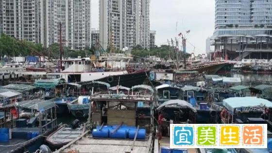 深圳全市10级狂风将持续20小时