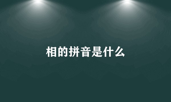 相的拼音是什么