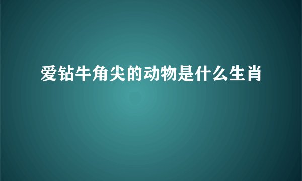 爱钻牛角尖的动物是什么生肖
