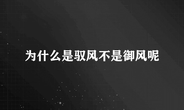 为什么是驭风不是御风呢
