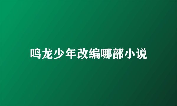 鸣龙少年改编哪部小说