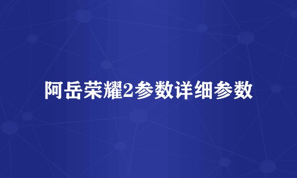 阿岳荣耀2参数详细参数