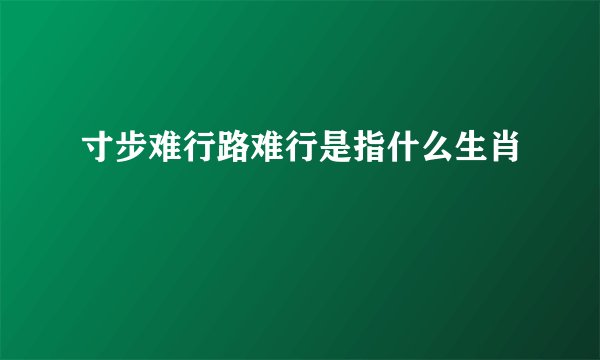 寸步难行路难行是指什么生肖