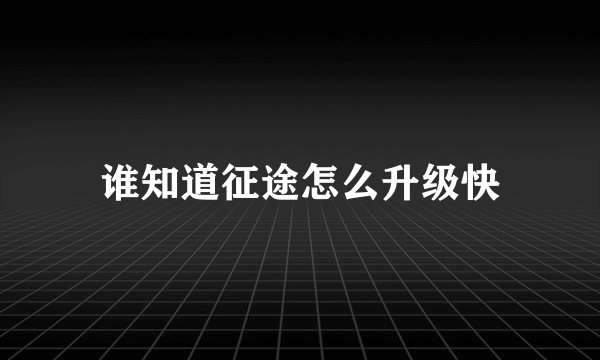 谁知道征途怎么升级快