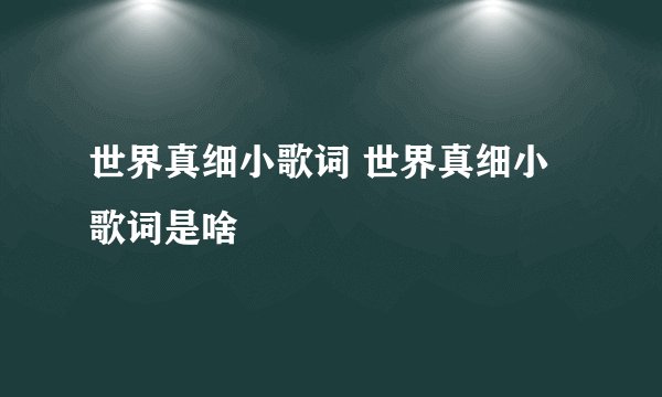 世界真细小歌词 世界真细小歌词是啥
