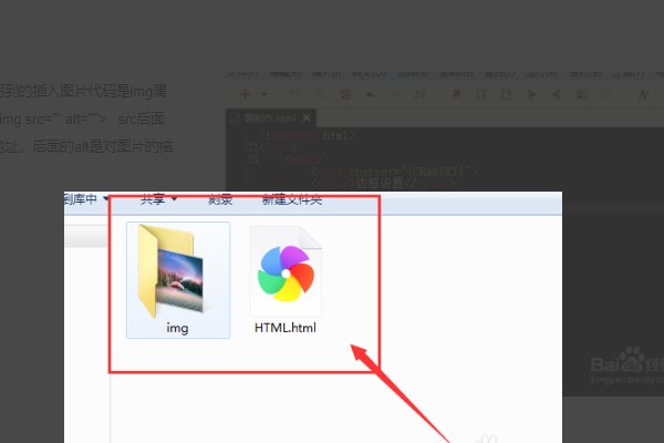 怎么用代码插入图片?