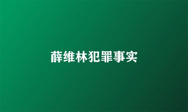 薛维林犯罪事实
