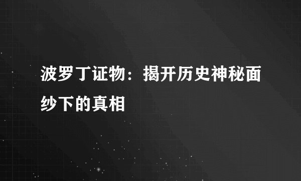 波罗丁证物：揭开历史神秘面纱下的真相