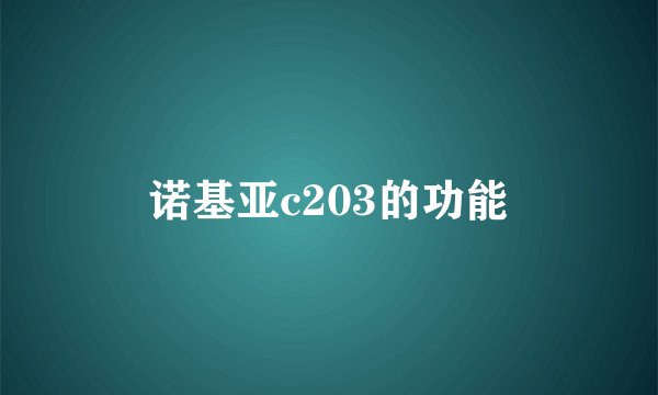 诺基亚c203的功能