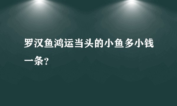 罗汉鱼鸿运当头的小鱼多小钱一条？