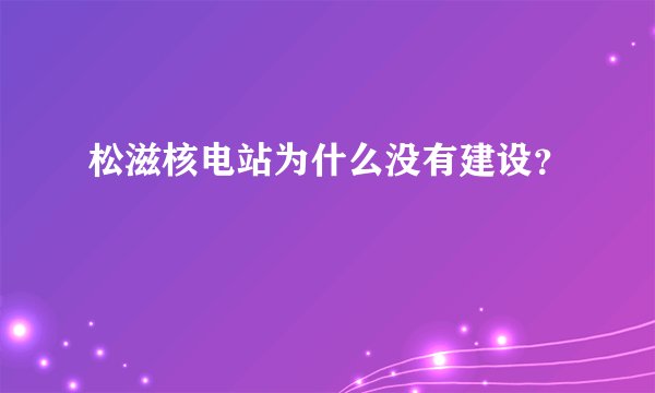 松滋核电站为什么没有建设？