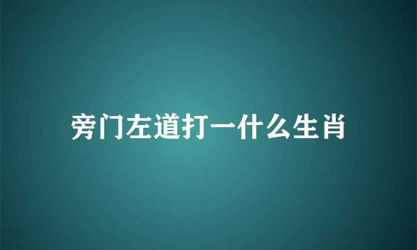 旁门左道打一什么生肖