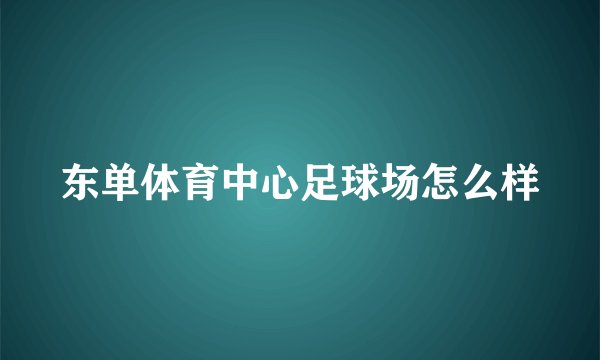 东单体育中心足球场怎么样