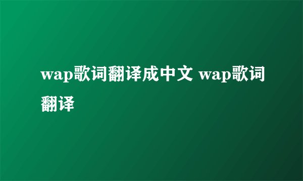 wap歌词翻译成中文 wap歌词翻译