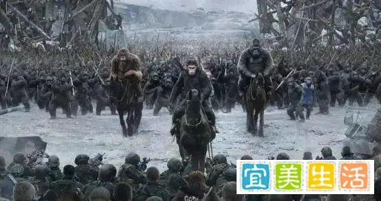 100年前,5名女性为科学献身,和黑猩猩杂交,后来怎么样了?