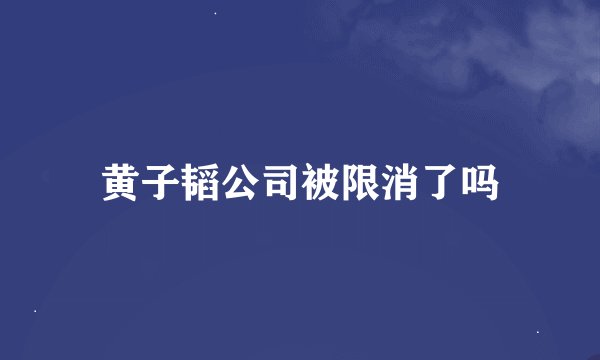 黄子韬公司被限消了吗