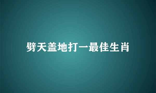 劈天盖地打一最佳生肖