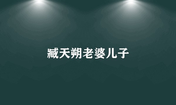 臧天朔老婆儿子