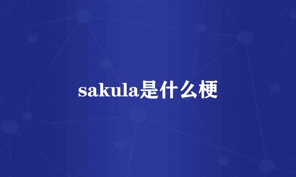 sakula是什么梗
