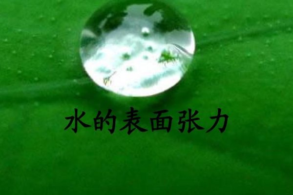 表面张力的单位是什么