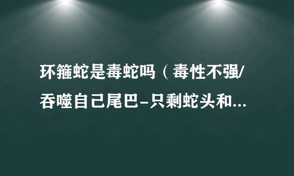 环箍蛇是毒蛇吗（毒性不强/吞噬自己尾巴-只剩蛇头和部分蛇身）