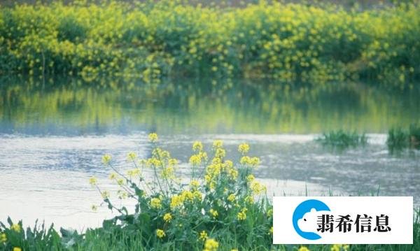 春之韵