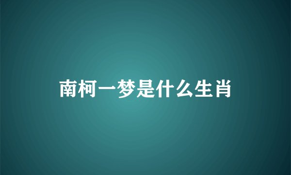 南柯一梦是什么生肖