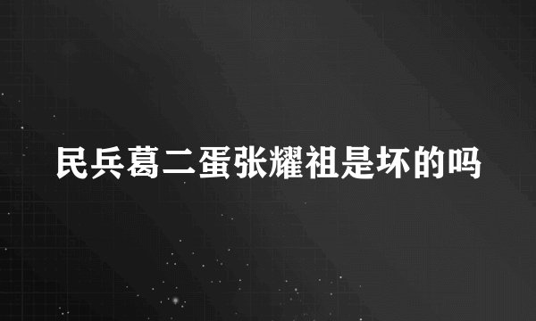 民兵葛二蛋张耀祖是坏的吗