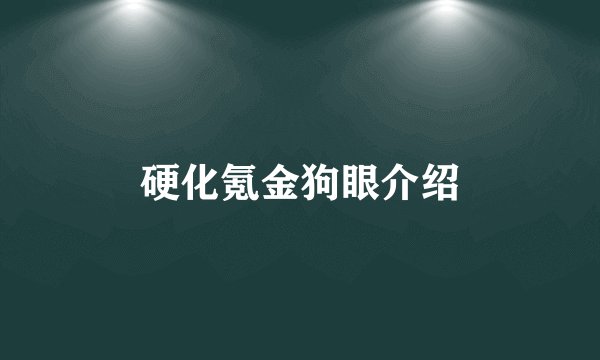 硬化氪金狗眼介绍