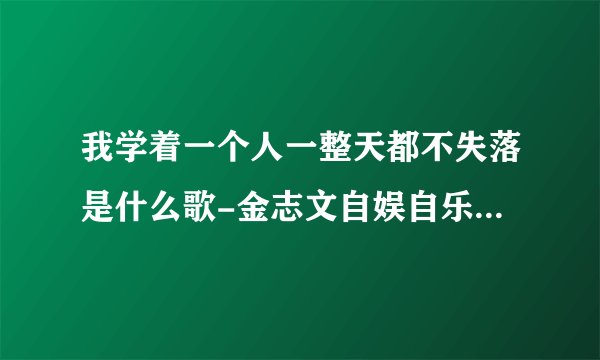 我学着一个人一整天都不失落是什么歌-金志文自娱自乐歌曲完整版歌词