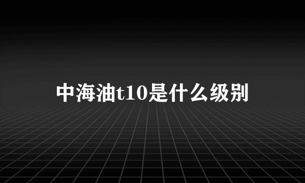 中海油t10是什么级别