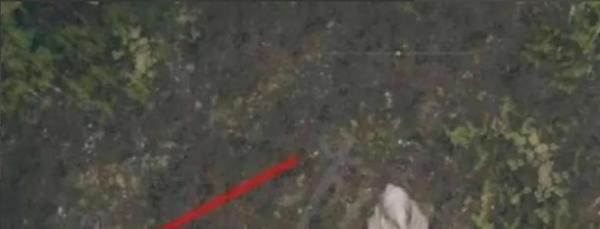 艾尔登法环名刀月隐战技怎么用