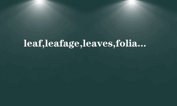 leaf,leafage,leaves,foliage之间的区别是什么?