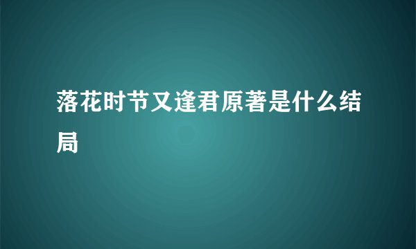 落花时节又逢君原著是什么结局