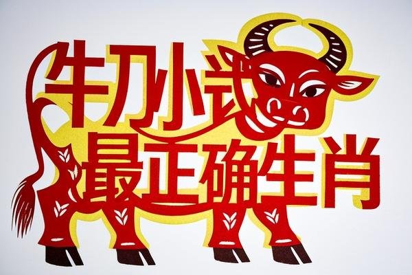牛刀小试最正确生肖