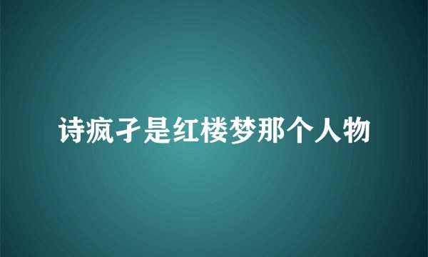 诗疯孑是红楼梦那个人物