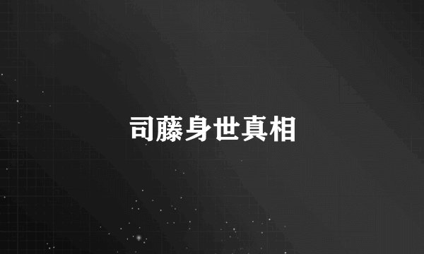 司藤身世真相