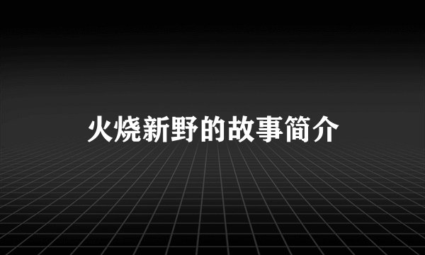 火烧新野的故事简介