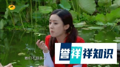 赵丽颖，“4+3减肥秘籍”表示：复出难？不存在的